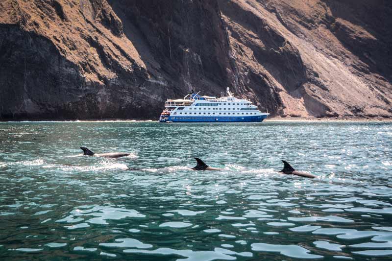 Island-hopping vs. Cruising the Galapagos Islands